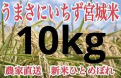 【農家直送】宮城県 新米 ひとめぼれ 米 10kg
