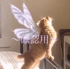 確認用