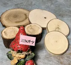 Item thumbnail for item 1bf8707d-a9cb-42a0-914b-caf7af4dfa1d