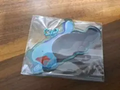 ポケモン　にたものどうし　アクリルチャームコレクション　ヌオー　ドオー