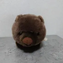 池田市立五月山動物園　ウォンバットぬいぐるみ