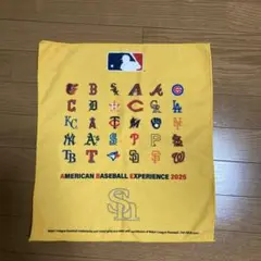 ソフトバンクホークス応援グッズ タオル