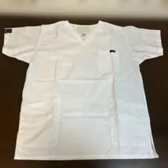 Item thumbnail for item 4092f7cf-cc8f-481a-8069-3f5119bfc12f