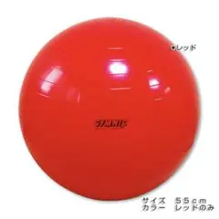 ギムニククラシック Gymnic Classic バランスボール 55cm