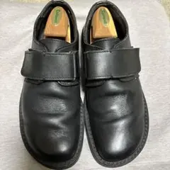 Item thumbnail for item 0e88549c-574e-4b57-8a66-0858106d563d