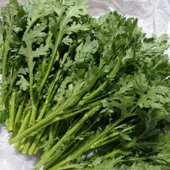 春菊 ☆ 300g ☆ 群馬県産