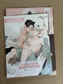 粉子すわる コミコミ 特典 小冊子