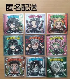 鬼滅の刃マンチョコ 第１弾 柱9枚セット