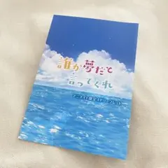 非売品「誰か夢だと言ってくれ」7巻 アニメイト限定4Pリーフレット/ 美品