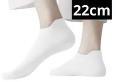 Item thumbnail for item 6397e145-98e8-4c6e-8d8f-c04c97efbe10