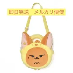 TXT ACT:TOMORROW CROSSBAG クロスバッグ ファンチュン