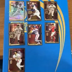 Item thumbnail for item 0e8b83bd-dc3f-4831-87cb-7c1e40b67888