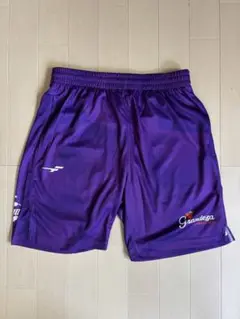 【専用商品】新品 FINTA フィンタ フットサル ハーフパンツ
