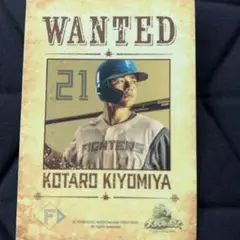 清宮幸太郎　日本ハムファイターズ　WANTED クリームサンド封入　トレカ