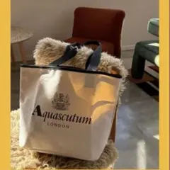 Aquascutum トートバッグ ベージュ 大容量