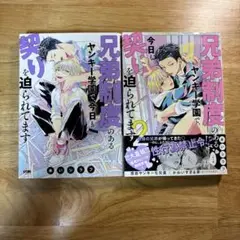 兄弟制度のあるヤンキー学園で、今日も契りを迫られてます。 2巻セット
