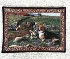 Item thumbnail for item 16cddf42-e858-4544-b9de-a7d39634c1c0