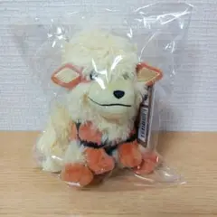 ポケモン　ウインディ　ぬいぐるみ　Pokemon fit　ポケモンセンター