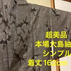 超美品 着物 縦横 本場大島紬 大島 正絹 シンプル アイビー トールサイズ