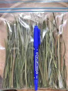 Item thumbnail for item 3425f763-d441-4a2f-870b-a2114569edf1