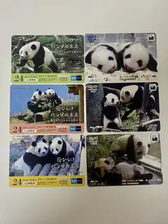 使用済:上野動物園 シャンシャン/シャオシャオ/レイレイQUOカード 6枚セット