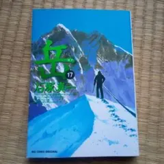 岳 17巻　石塚真一　単行本