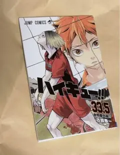劇場版　ハイキュー　映画特典　第7弾　33.5巻　小冊子