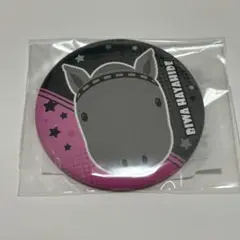 ＤＭＭ　スクラッチ　サラブレッドコレクション　缶バッジ　ビワハヤヒデ