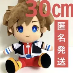 キングダム ハーツ スペシャルぬいぐるみ ソラ 0826
