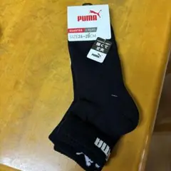 Item thumbnail for item fe7448db-3fbc-4436-bc24-b8c8df6036b5