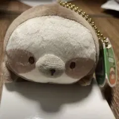 なまけぇーも　おこげん