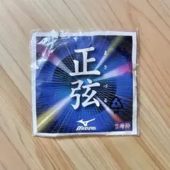 Mizuno 正弦 2号伸
