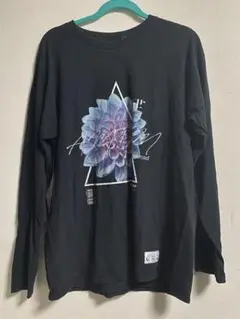 アマツカミ Tokyo アマツカミ 蒼菊/Chrysanthemum longt
