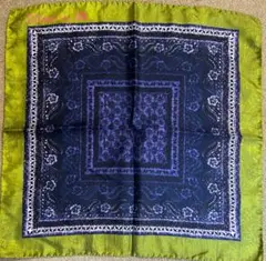 Item thumbnail for item fe0f79e9-3605-4f8f-8c45-223dc69fd0d8