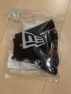 Item thumbnail for item 33f4ee15-3c38-492d-8e4e-a59afdc3b4c9