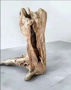 Item thumbnail for item b4b9dbaf-deb6-4a16-87db-0236e0978eba