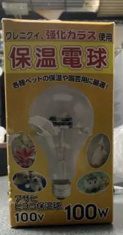 Item thumbnail for item eca71821-fee6-417f-bfd6-cbd3dec4478b