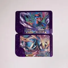 ポケモンフレンダ　Zワザ　メタグロス　ボーマンダ