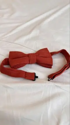 Item thumbnail for item d1d12a86-e128-4253-a7a5-01564ea72d19