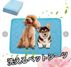 Item thumbnail for item ee38313e-fb7b-4e1d-b44d-dbdf68571aab