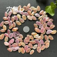 天然 桜貝 さくら貝 貝殻 中2 小1 計 約1kg+57インテリア パーツ 41s64VaHcyL._UF350,350_QL80_.jpg