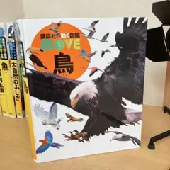 MOVE 鳥 DVD付き　カバーなし