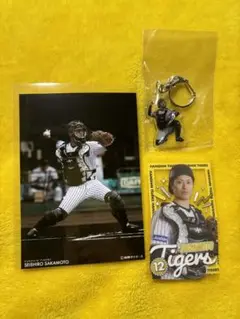 阪神タイガース ruffleくじ 坂本誠志郎