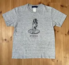 【美品】beams najel graph VENUS 霜降りグレーTシャツ