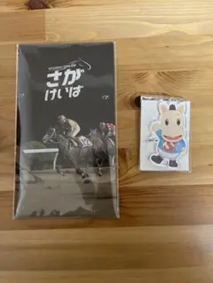 佐賀競馬　パッカルくん　アクリルキーホルダー　クリアファイル　セット