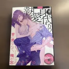 身代わりの執愛⭐️オススメ‼️