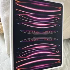 【美品】iPad Pro12.9 256GB （第6世代）Wi-Fi