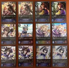 タイムセール❣️シュヴァルグラン❣️早い者勝ち⭕️