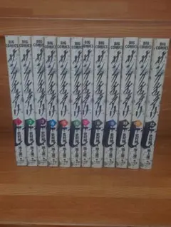 サングチュアリ 全12巻セット