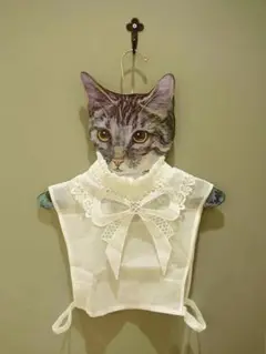 Item thumbnail for item 5cc39a63-4944-4f2e-9507-4b61df1f360d